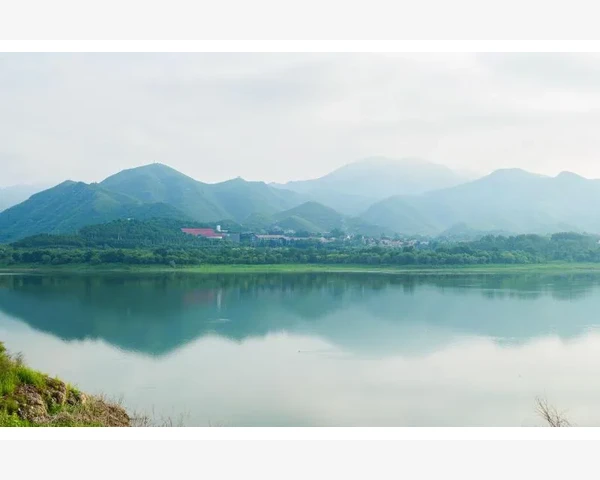 吃秋葵：美味佳肴还能化痰，中医科普揭秘